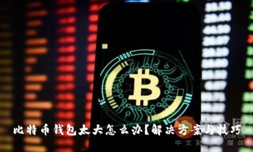 比特币钱包太大怎么办？解决方案与技巧