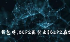 在TP钱包中，BEP2是什么？BEP2在哪里？