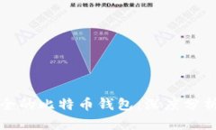 选择安全的比特币钱包：深度分析与推荐