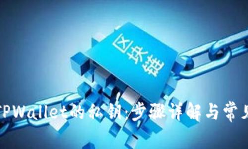 如何找回TPWallet的私钥：步骤详解与常见问题解答