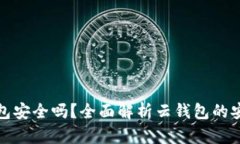 比特币的云钱包安全吗？全面解析云钱包的安全