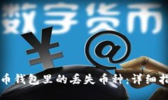 如何找回瑞波币钱包里的丢失币种：详细指导与