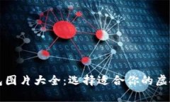 比特币数字钱包图片大全：选择适合你的虚拟货