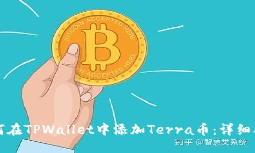 如何在TPWallet中添加Terra币：详细指南