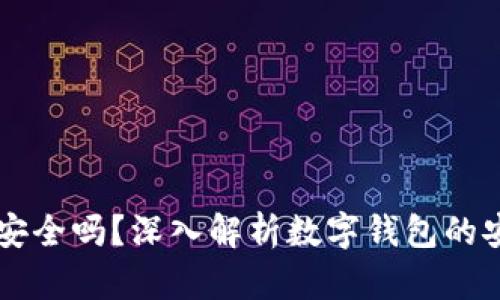 TPWallet不联网安全吗？深入解析数字钱包的安全性与风险管理