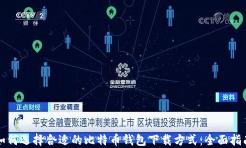 
如何选择合适的比特币钱包下载方式：全面指南