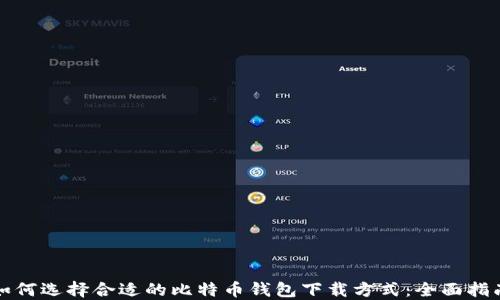 
如何选择合适的比特币钱包下载方式：全面指南
