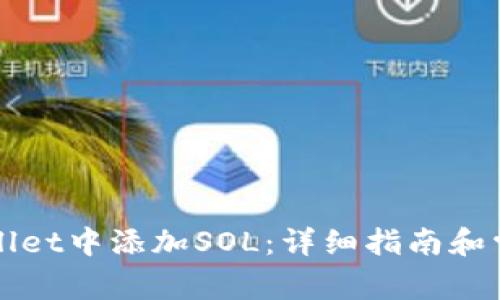 如何在TPWallet中添加SOL：详细指南和常见问题解答
