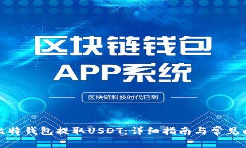 如何从比特钱包提取USDT：详细指南与常见问题解答