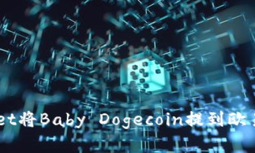 如何通过TPWallet将Baby Dogecoin提到欧易平台: 完整指南