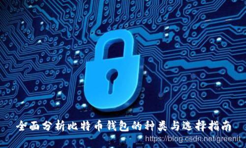 全面分析比特币钱包的种类与选择指南