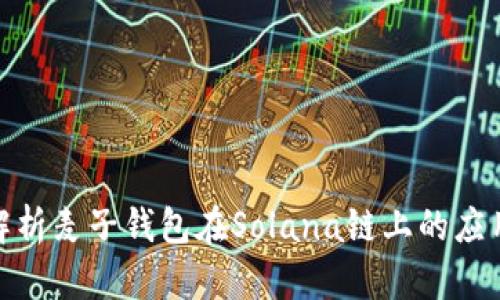: 全面解析麦子钱包在Solana链上的应用与优势