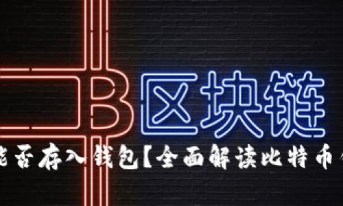 半枚比特币能否存入钱包？全面解读比特币钱包使用技巧