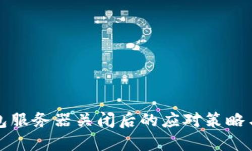 比特币钱包服务器关闭后的应对策略与解决方案