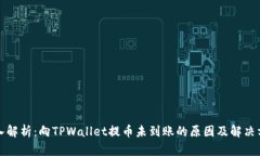 深入解析：向TPWallet提币未到账的原因及解决方案